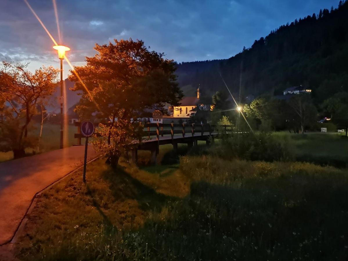 C3 Albmatte-Fewo Sauna, Hallenbad Aussenbecken Massagen Nebenan Санкт-Блазиен Экстерьер фото