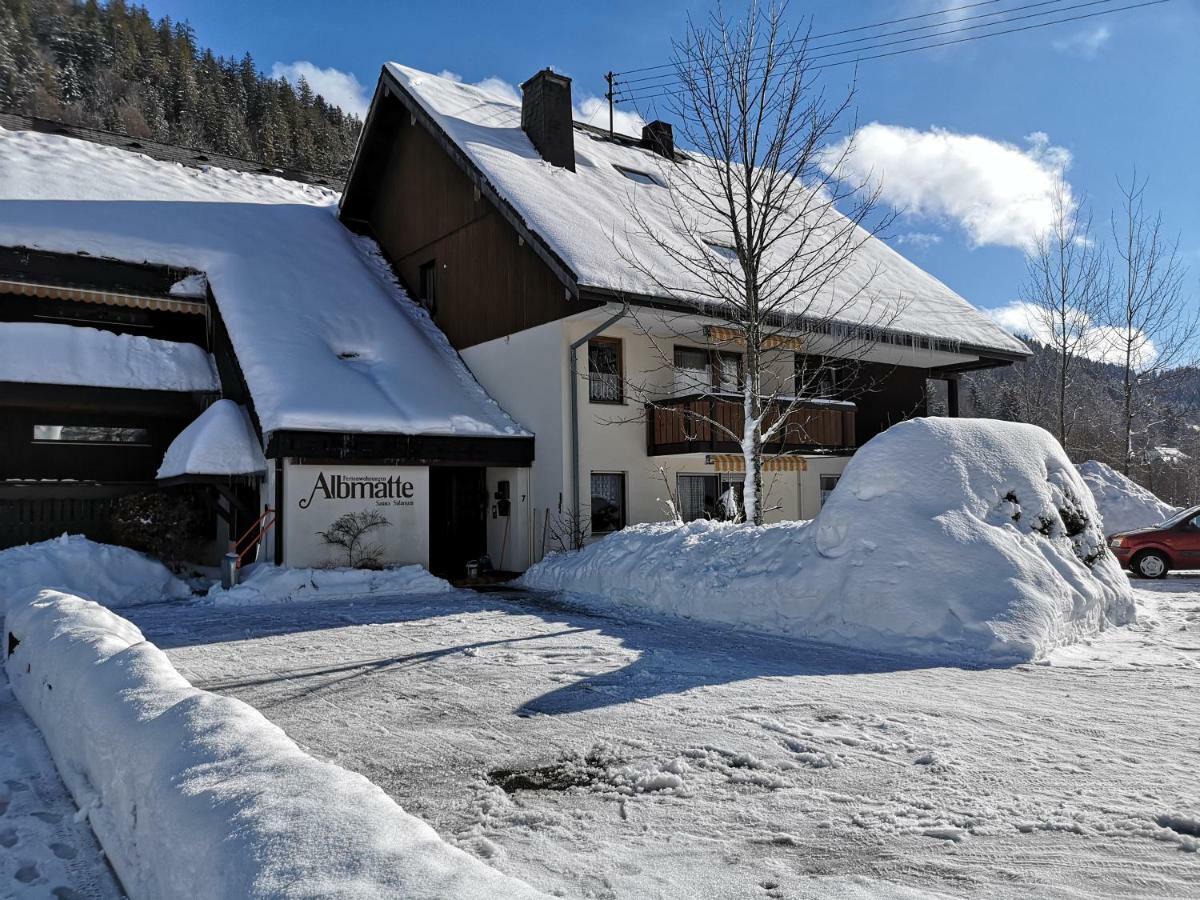 C3 Albmatte-Fewo Sauna, Hallenbad Aussenbecken Massagen Nebenan Санкт-Блазиен Экстерьер фото