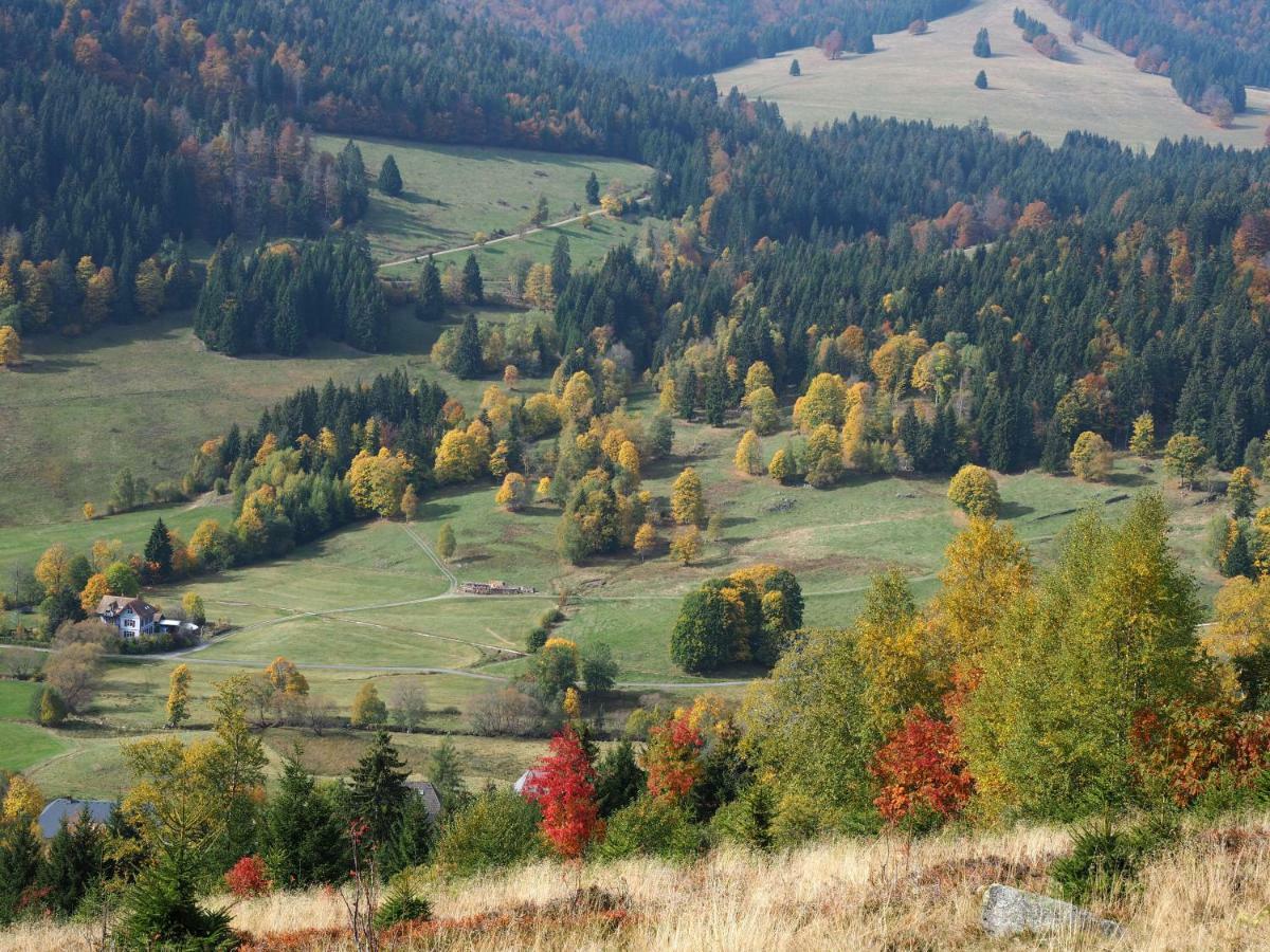 C3 Albmatte-Fewo Sauna, Hallenbad Aussenbecken Massagen Nebenan Санкт-Блазиен Экстерьер фото