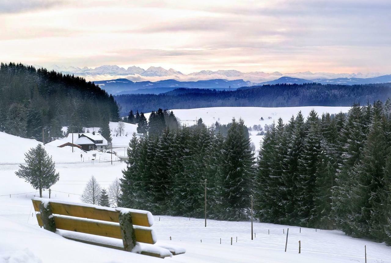 C3 Albmatte-Fewo Sauna, Hallenbad Aussenbecken Massagen Nebenan Санкт-Блазиен Экстерьер фото