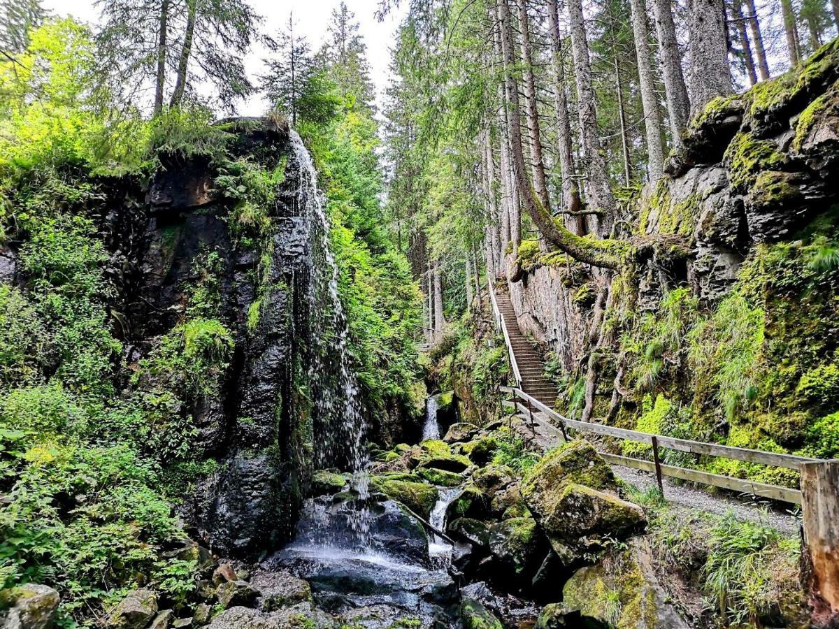 C3 Albmatte-Fewo Sauna, Hallenbad Aussenbecken Massagen Nebenan Санкт-Блазиен Экстерьер фото