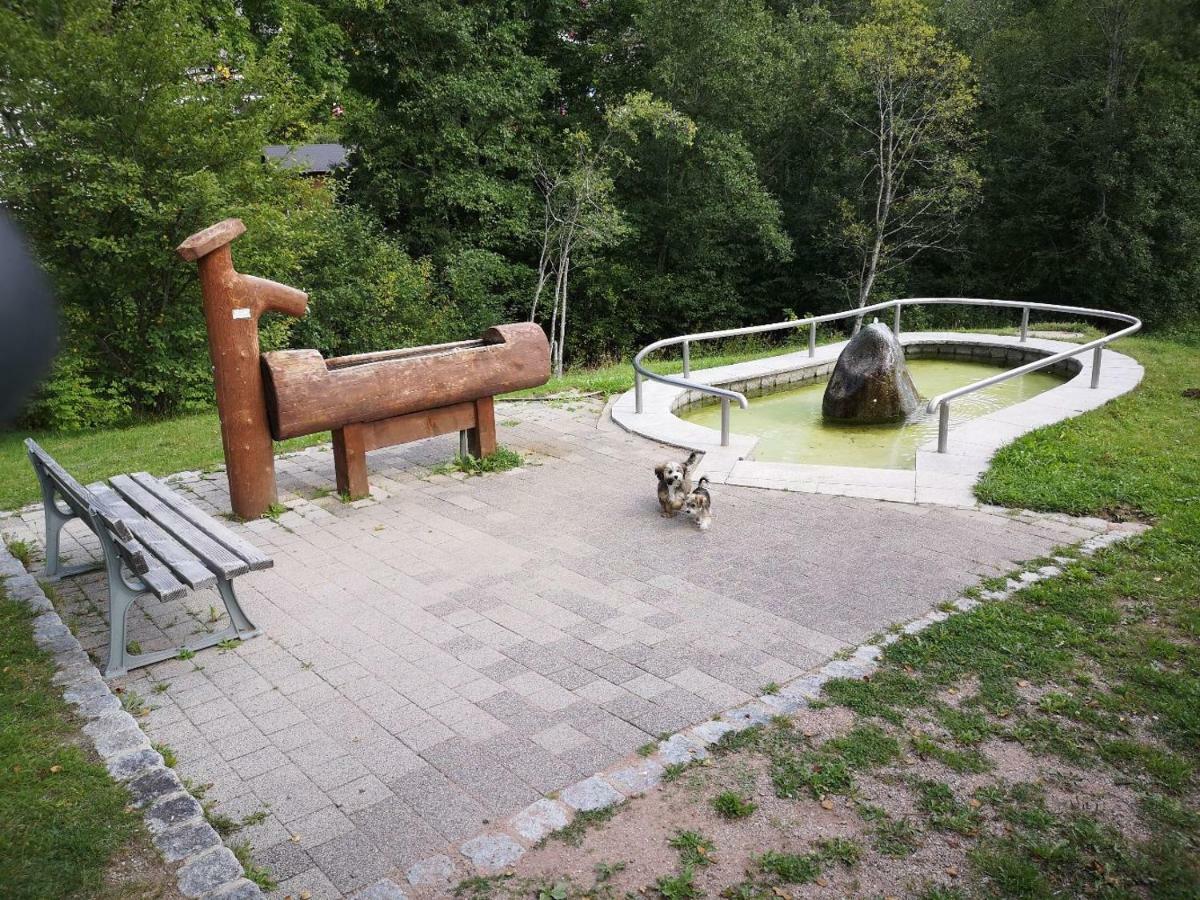C3 Albmatte-Fewo Sauna, Hallenbad Aussenbecken Massagen Nebenan Санкт-Блазиен Экстерьер фото
