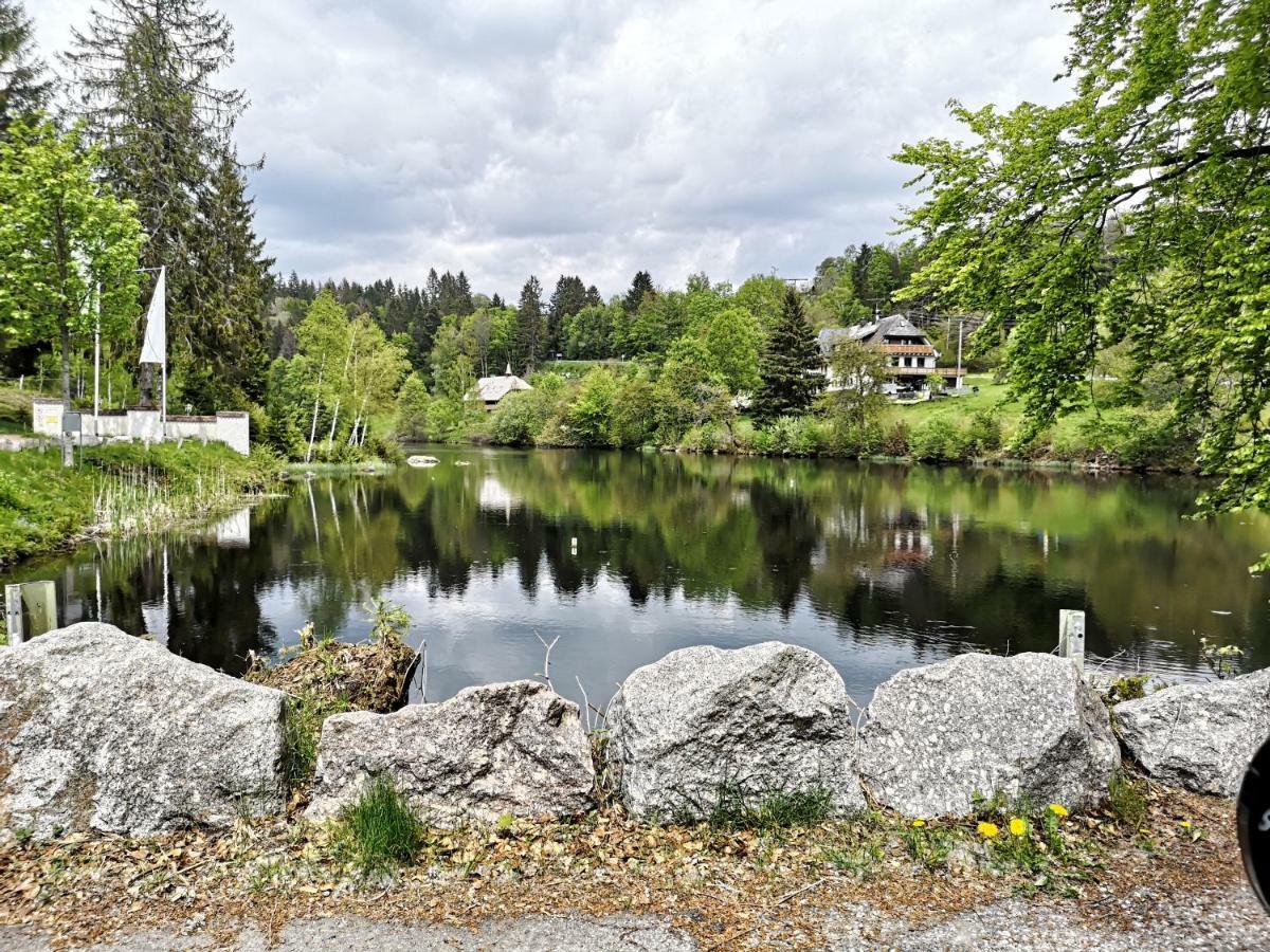 C3 Albmatte-Fewo Sauna, Hallenbad Aussenbecken Massagen Nebenan Санкт-Блазиен Экстерьер фото